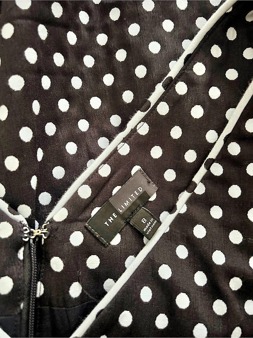 The Limited Polka Dot Mini Dress in Black & White - Picture 3 of 7